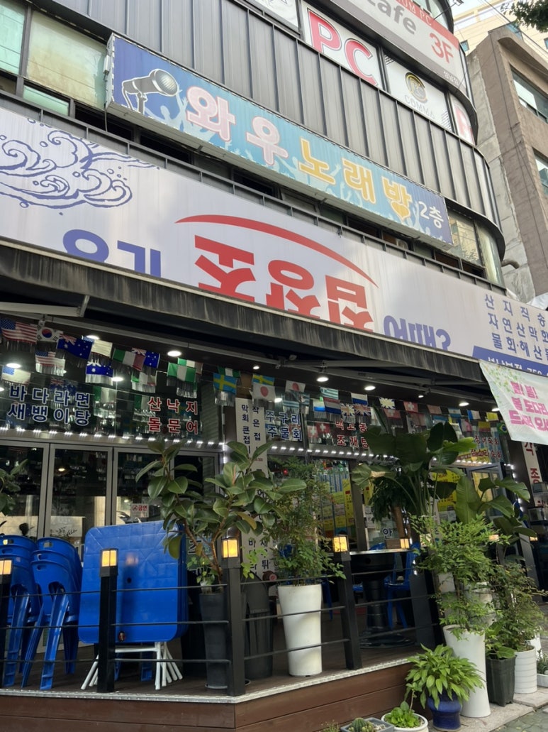 요기초장집어때 이미지