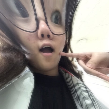 아보카도즈 이미지