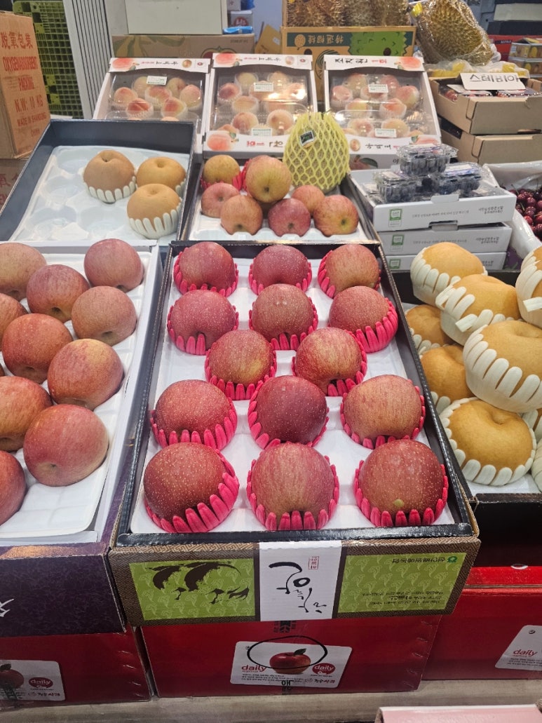 명진청과 이미지