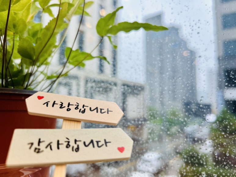 제이엘제이 이미지