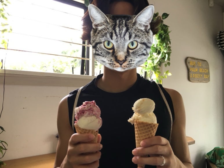 크크피시 이미지