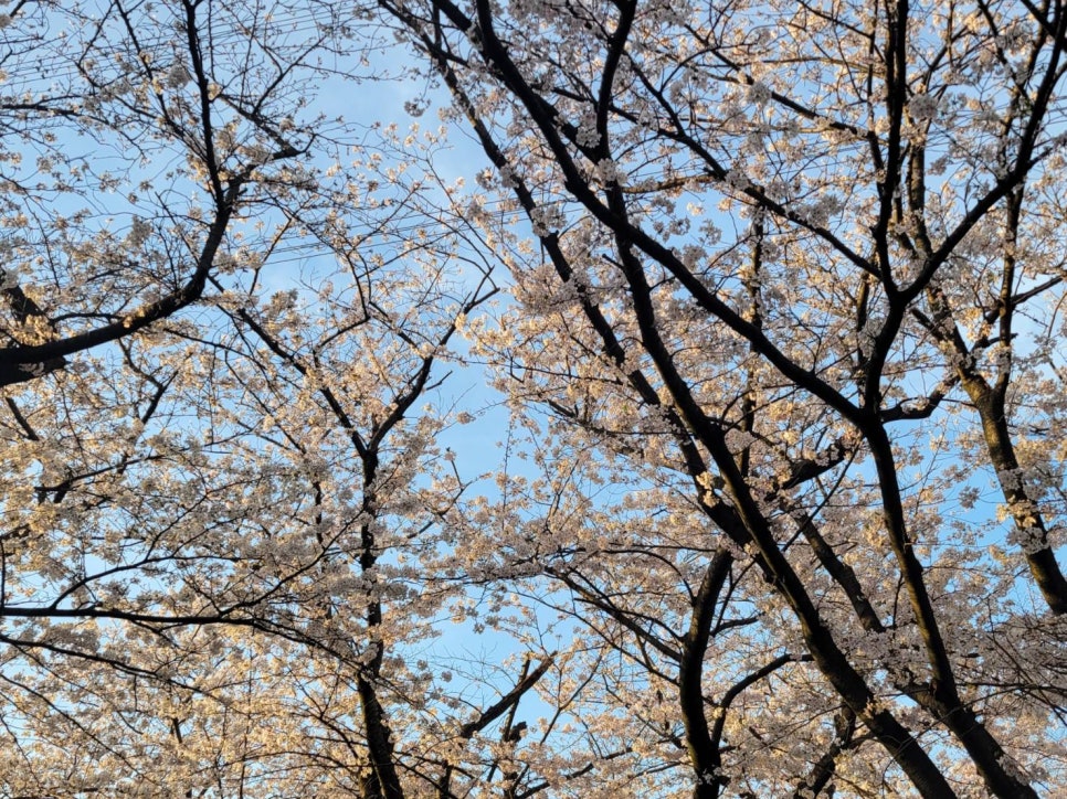 누나홀닭 동인천점 이미지