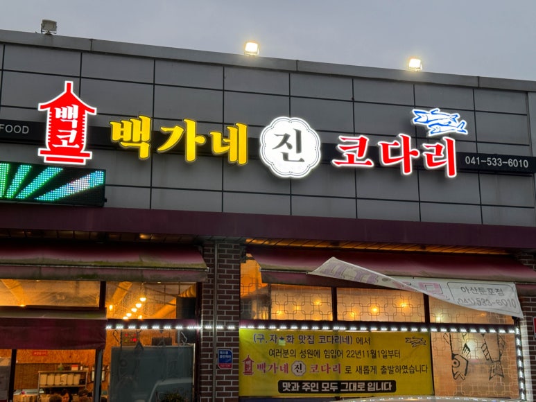 진심코다리 이미지