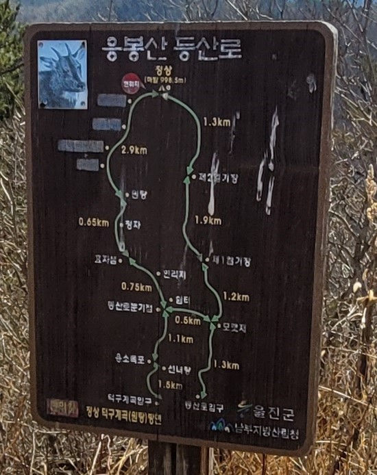 (주)금강송 이미지