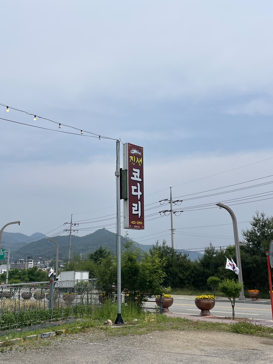 진샘코다리 이미지