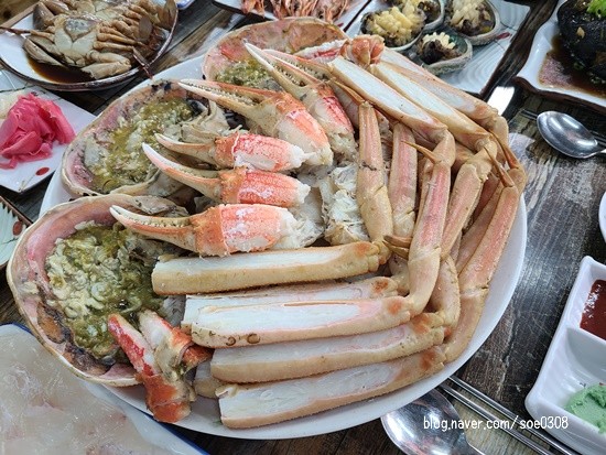 죽도해삼 이미지