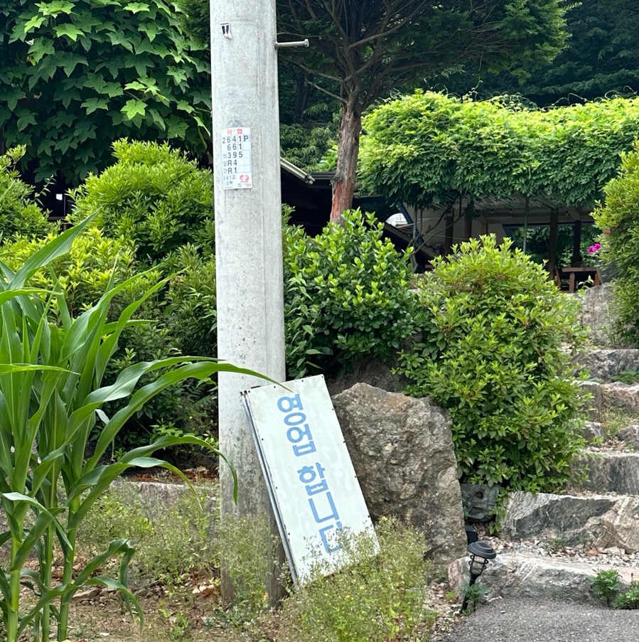 능골엄나무토종닭 이미지
