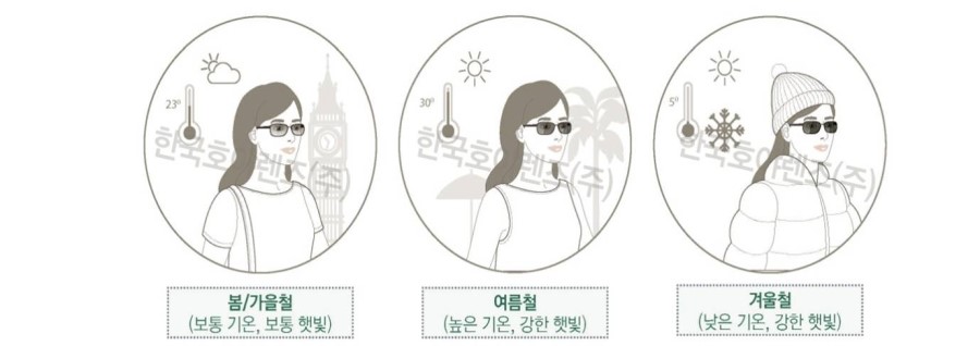 마로치노 이미지
