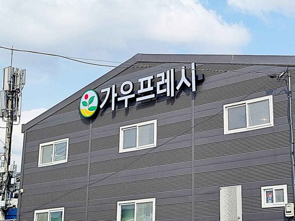 가우시스템 이미지