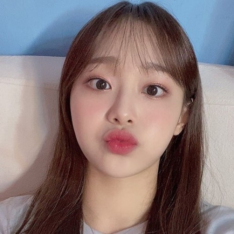 피브완 이미지