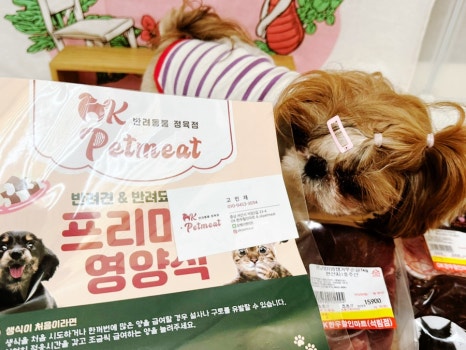 오케이펫미트 이미지