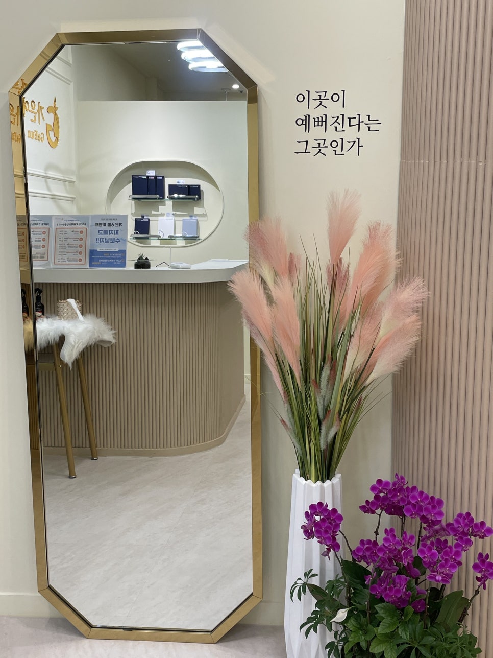 함에스테틱 이미지