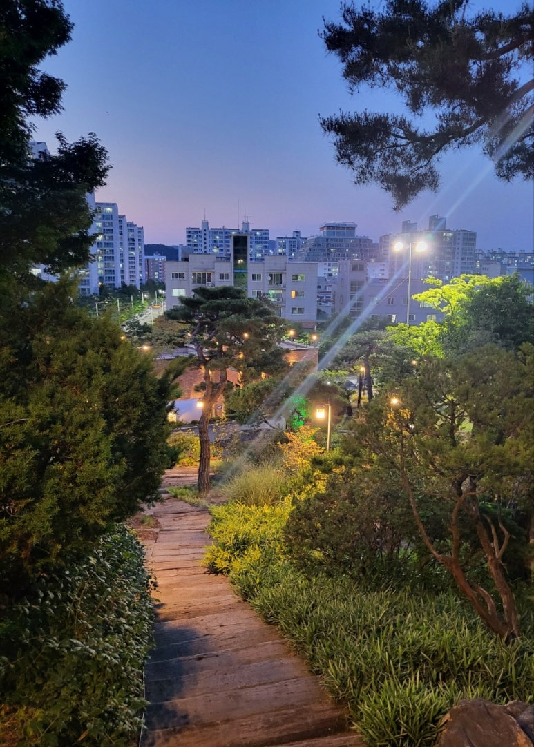 더노은로캠핑장 이미지