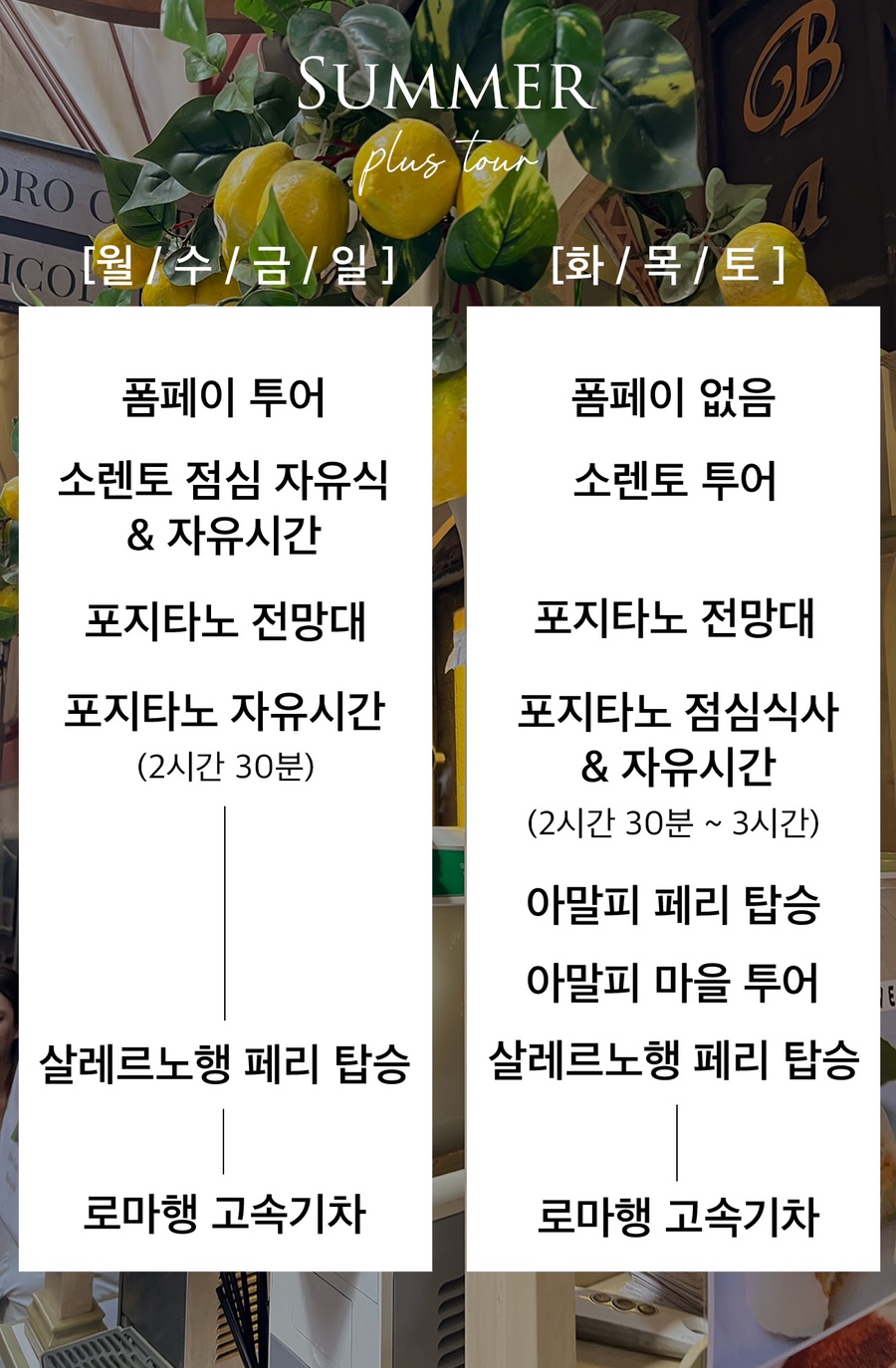 레몬투어 이미지