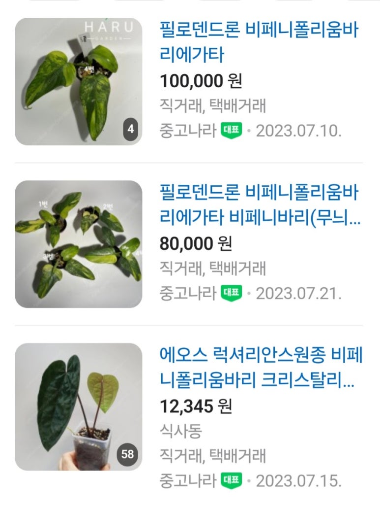폴리화원 이미지