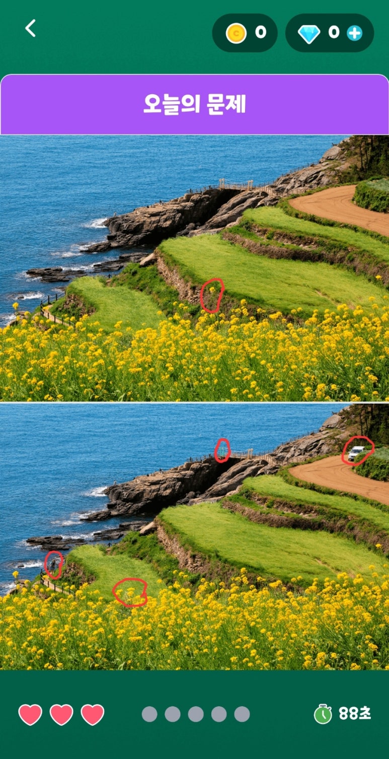 정답은꽃 이미지