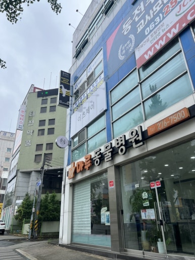 마루제이 이미지