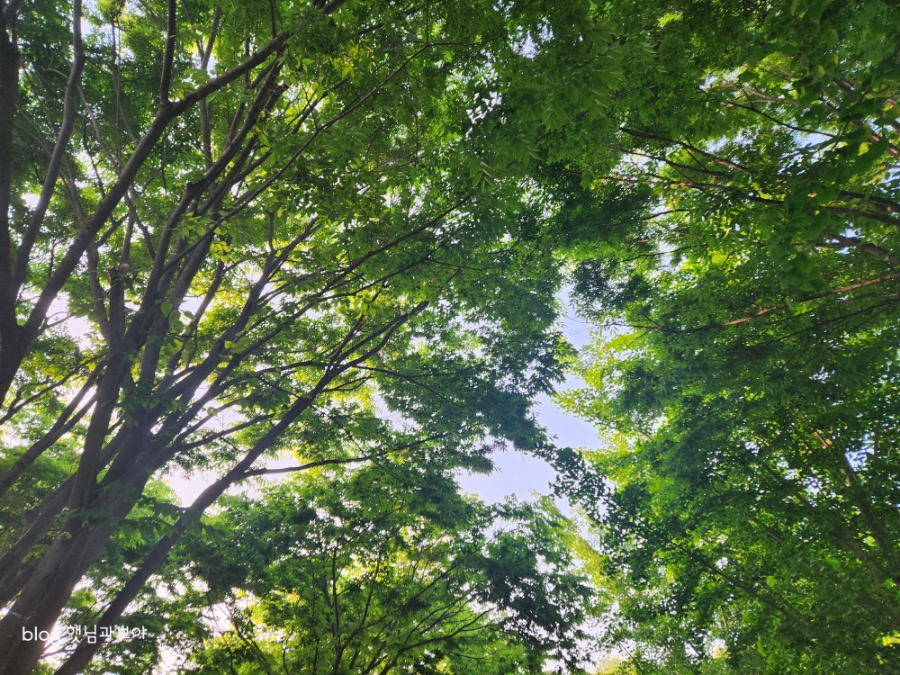 오샤캠핑장 이미지