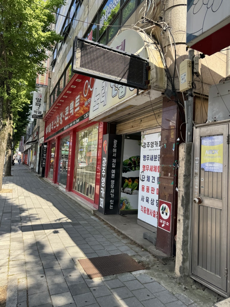 광주앵카페 이미지