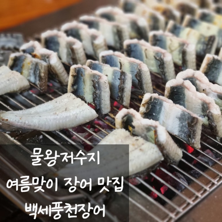 백세풍천장어 이미지