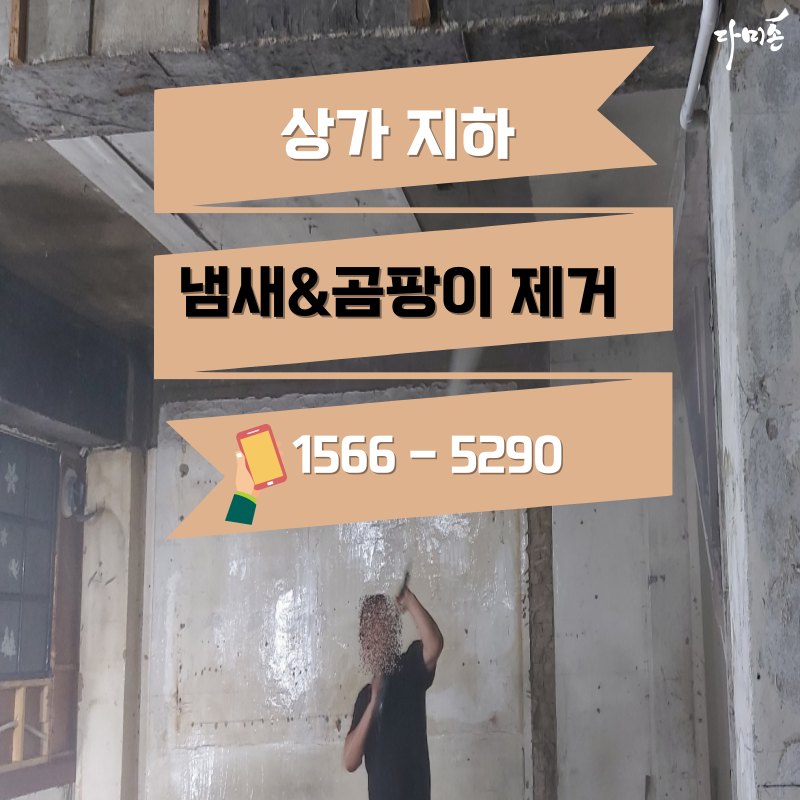 다미손 종합청소 이미지