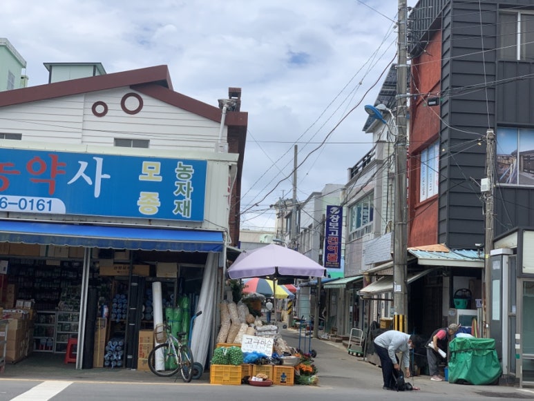 한농종묘 이미지