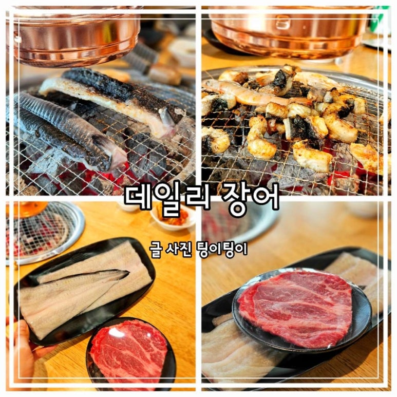 데일리장어 이미지