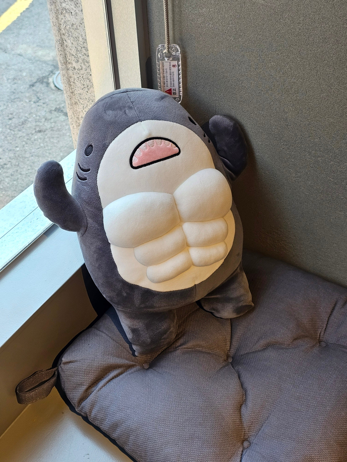 카페인샼 이미지