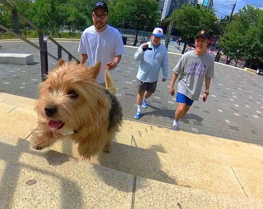 무진 이미지