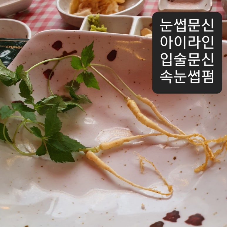 오렌지브로우 이미지