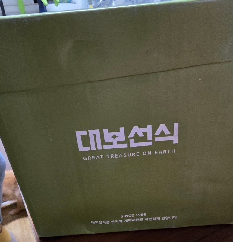 대보선식 이미지
