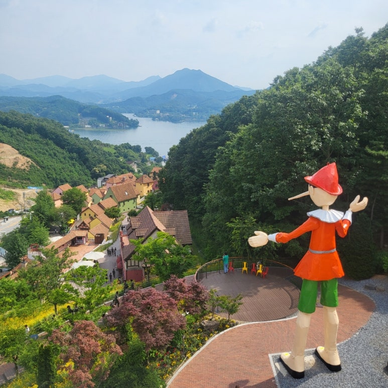 주식회사 피노키오 이미지