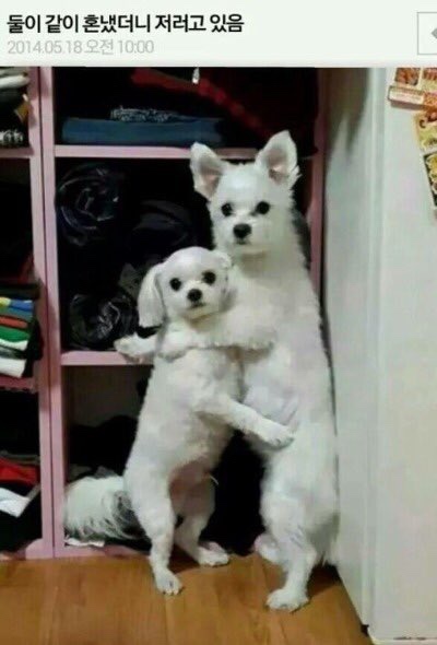 없음 이미지