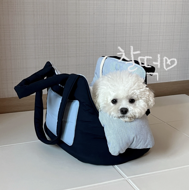 프롬위니 이미지