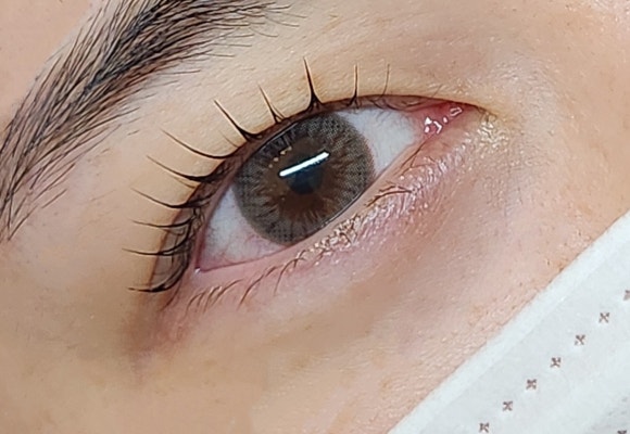 다뷰래쉬 이미지