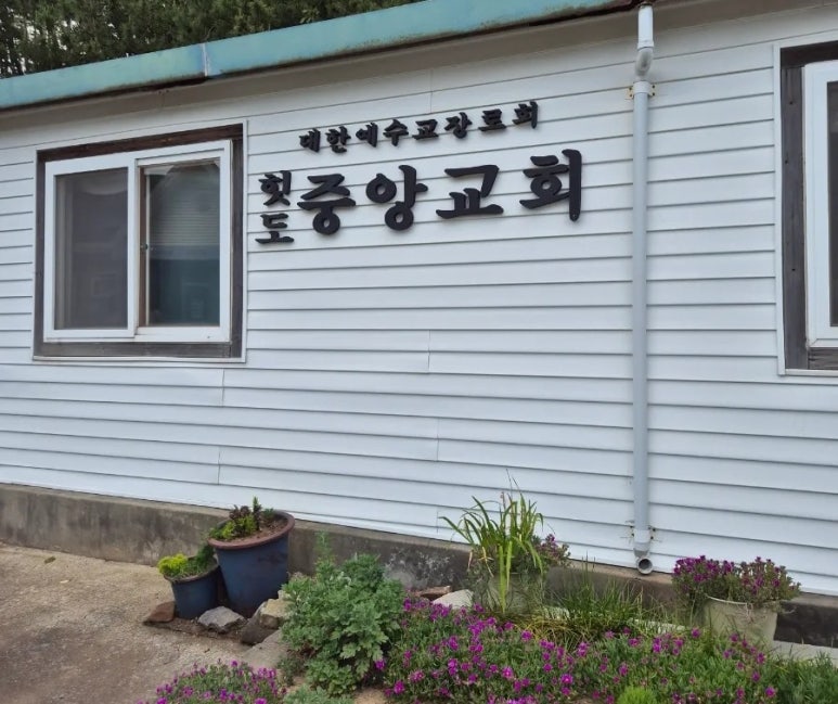 섬섬씨 이미지