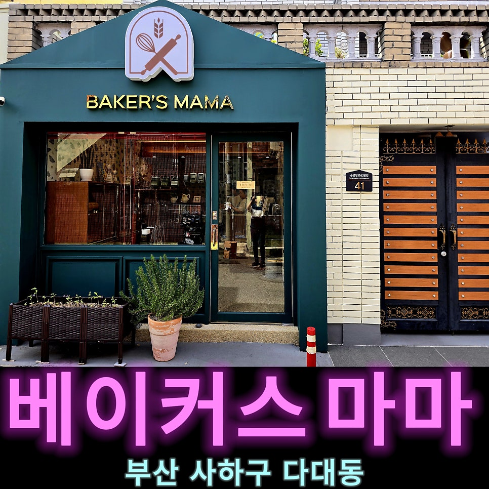 마마도우 이미지