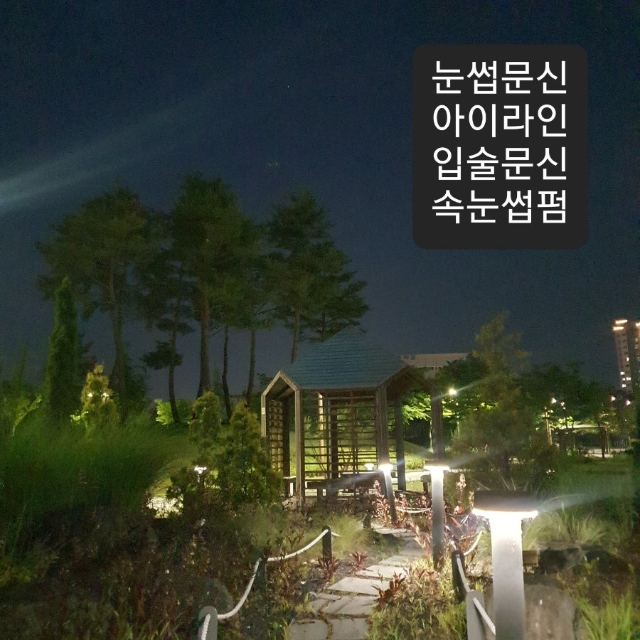 오렌지브로우 이미지