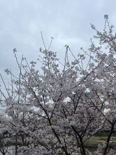 무니네일스튜디오 이미지
