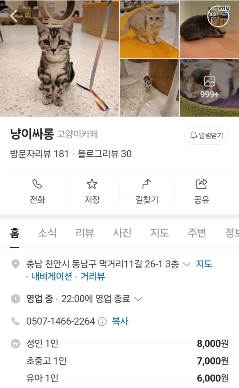 냥이싸롱 이미지