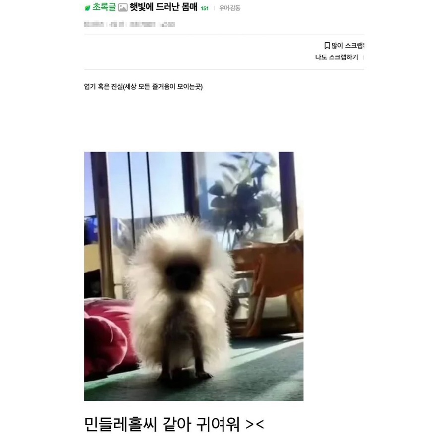 은삼이네 이미지