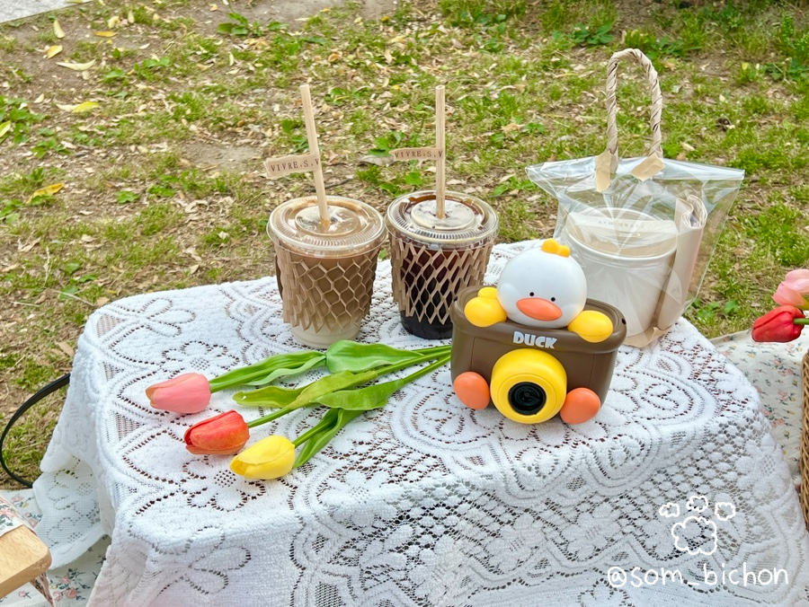 디디바스켓 이미지