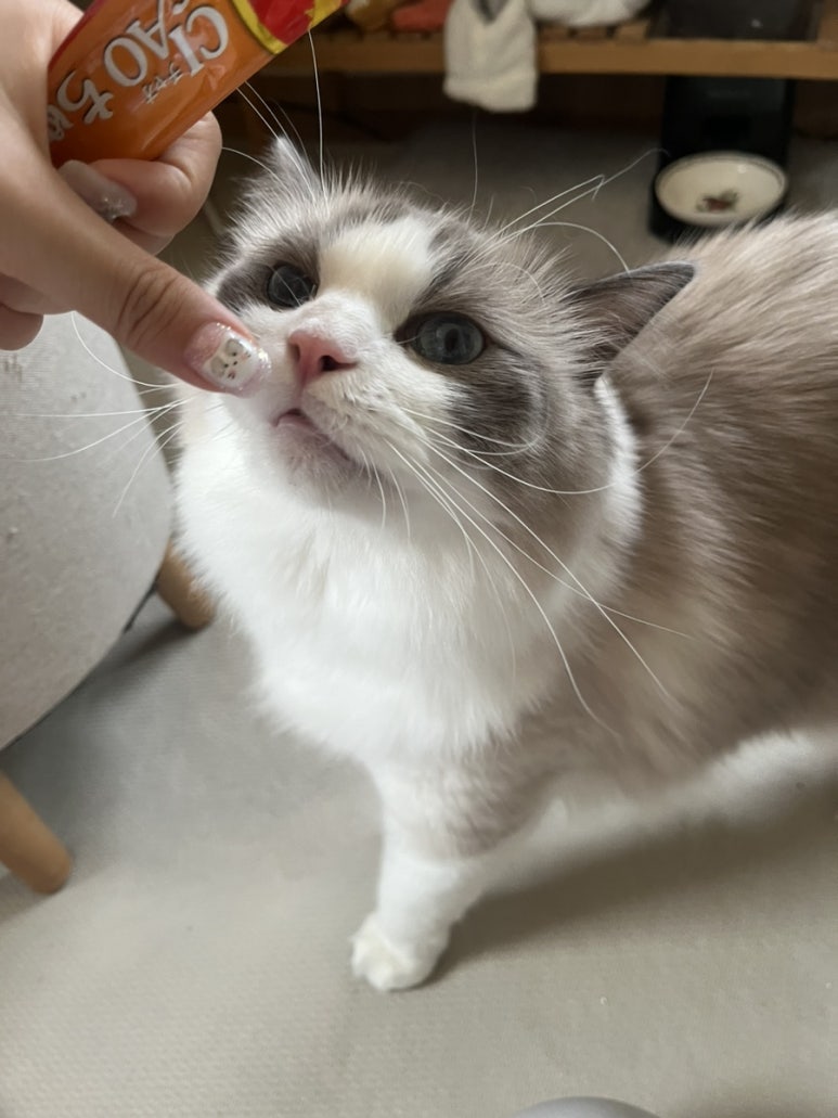네일그란데 이미지
