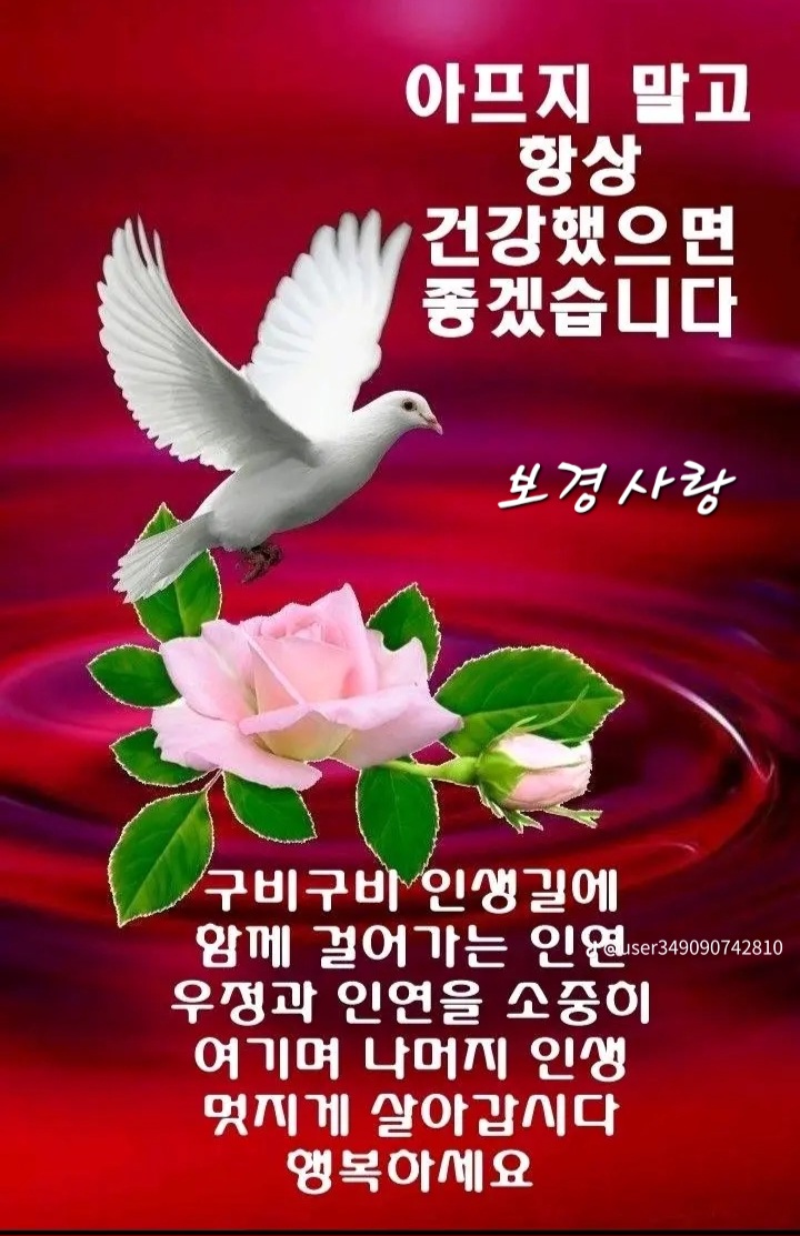 행복한하루 이미지