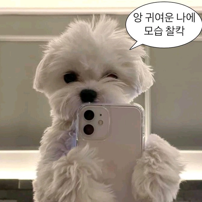 케이에이 이미지