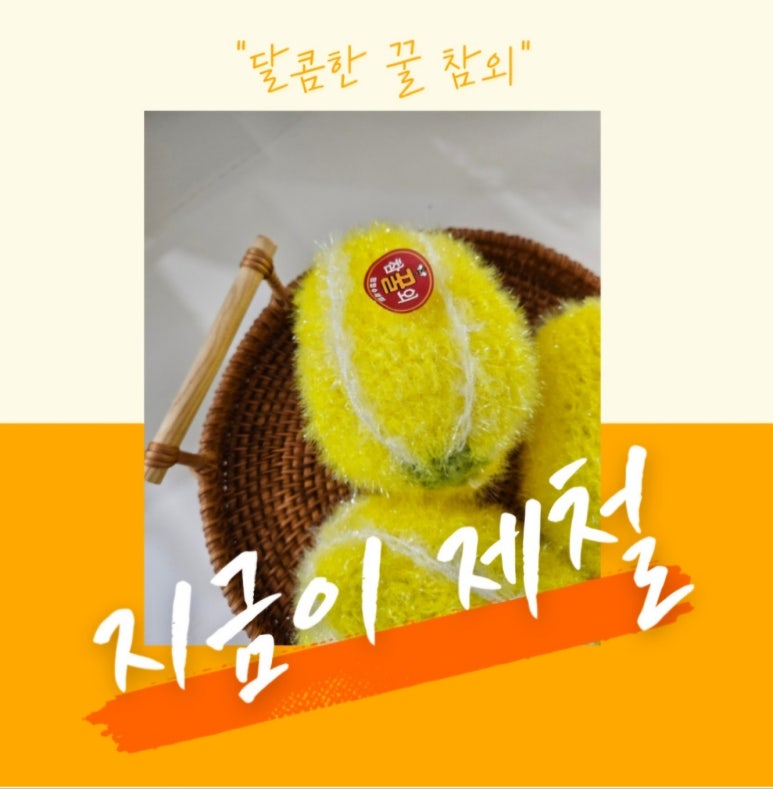 달콤한쭈니네 이미지