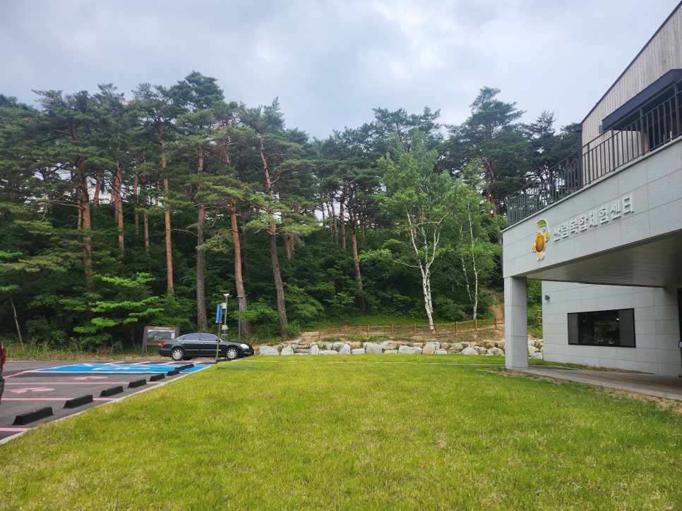 금강송 체험 야영장 이미지