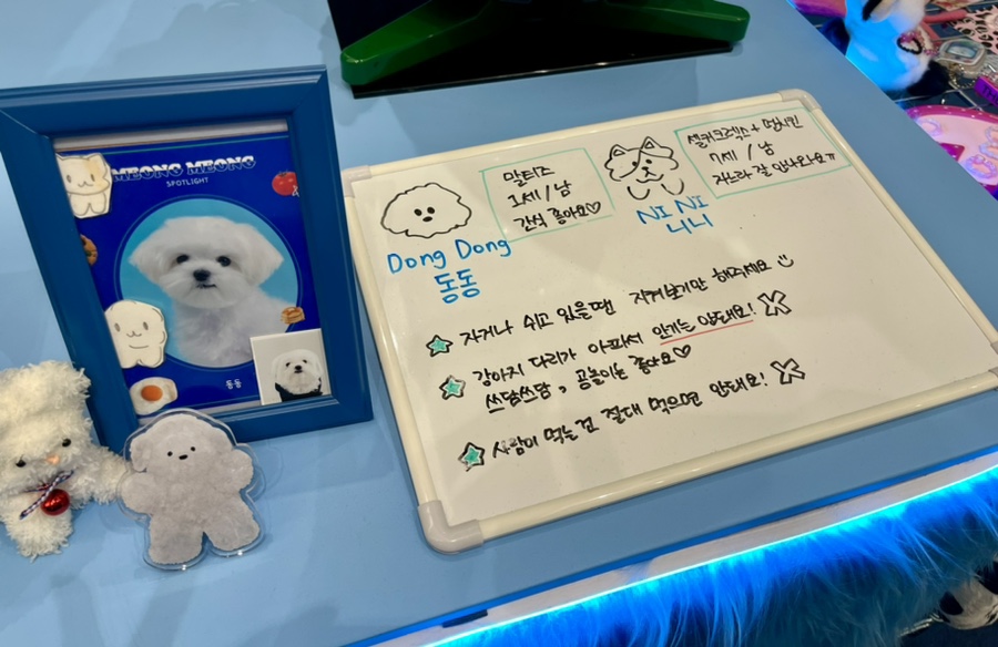 히피펑키클럽 이미지