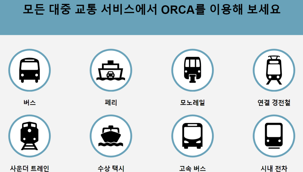 올카 (orca) 이미지