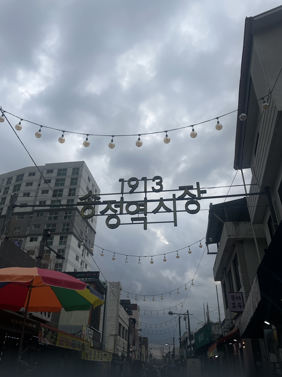 냥테라피 이미지